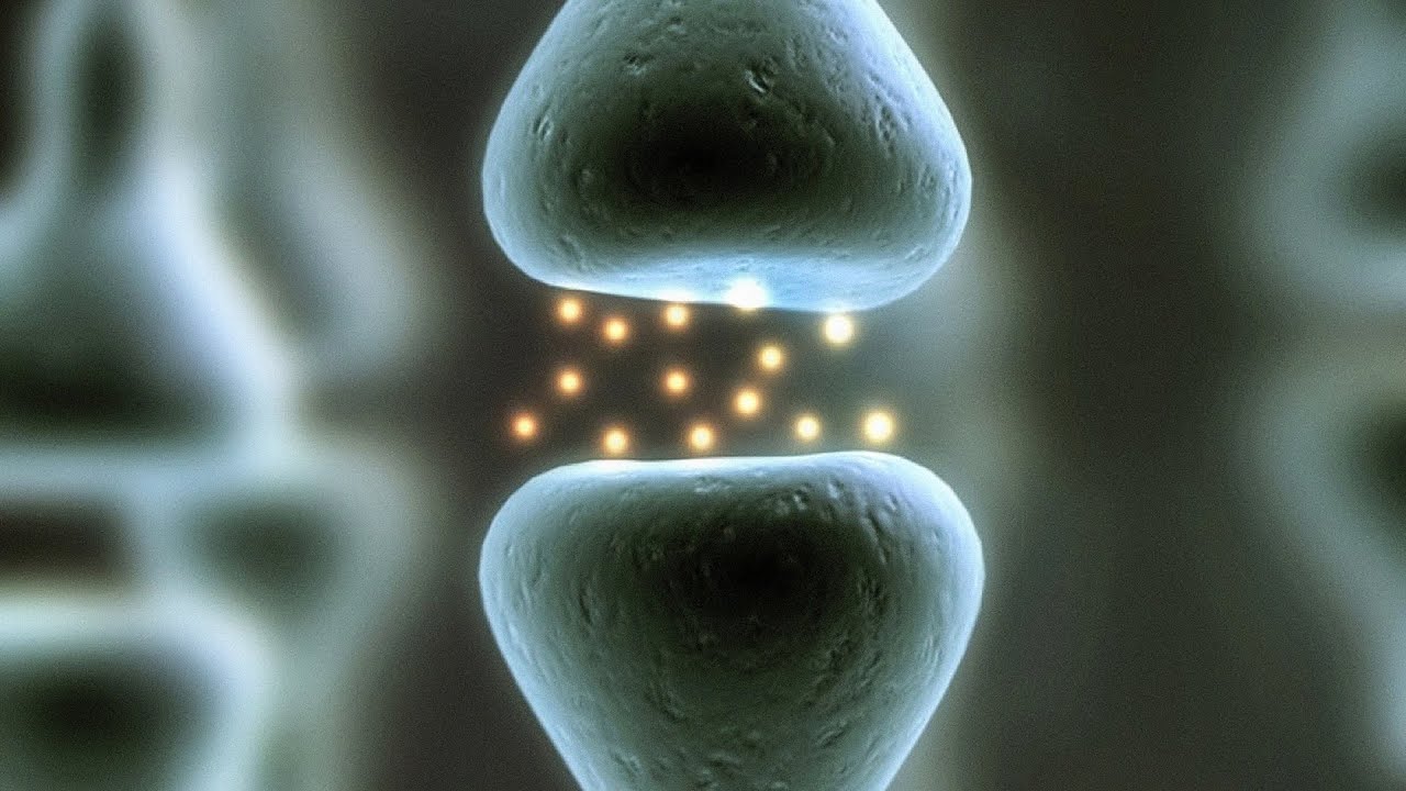 Кэрол Двек: Сила веры в то, что можно стать лучше