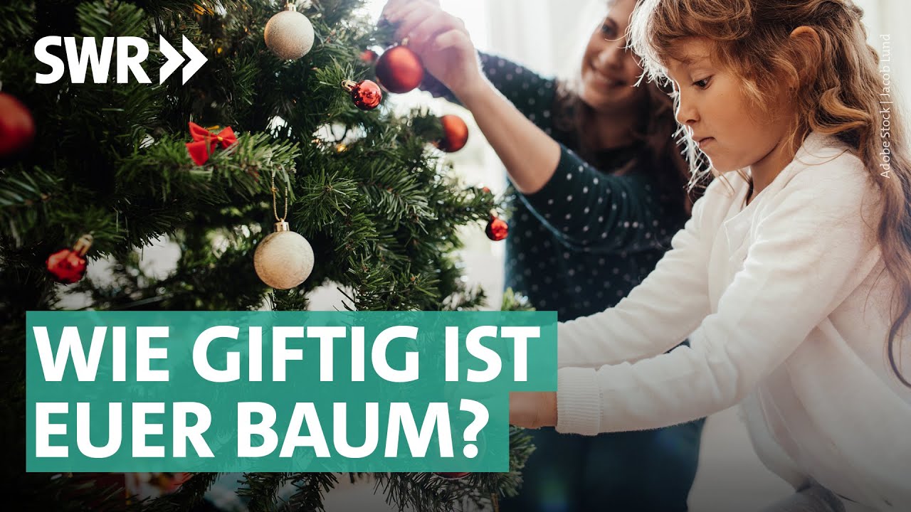 Weihnachtsbaum 2023: Glyphosat und andere Pestizide auf Tannenbäumen? | Marktcheck SWR