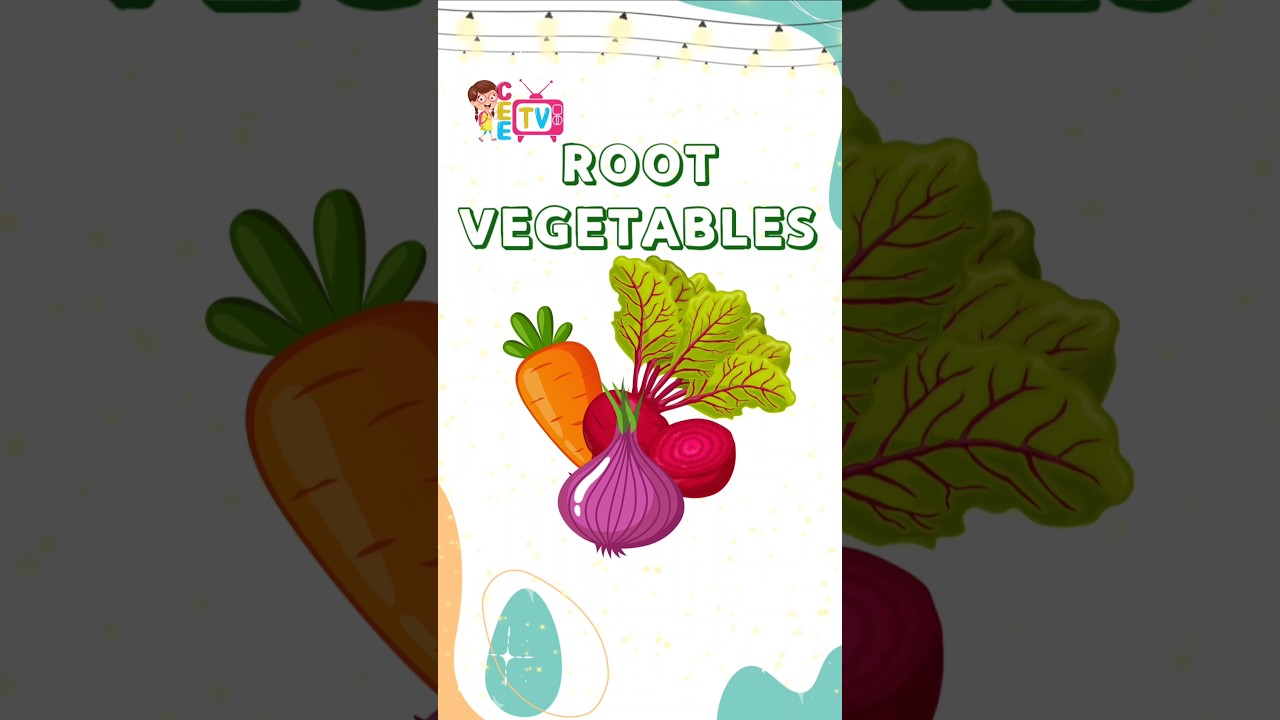 Root Vegetable Names | Building English Vocabulary for Kids #ceetvkids #learnandplay