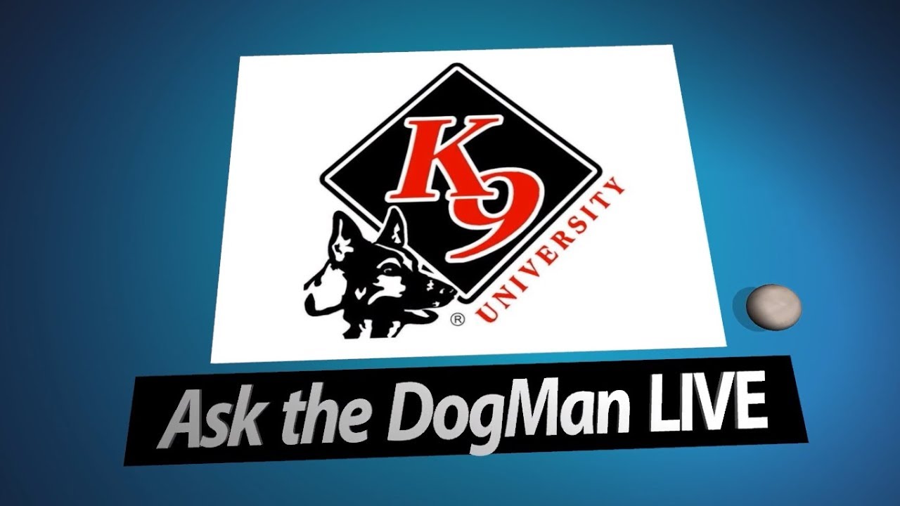 The &ldquo;Ask The DogMan LIVE&rdquo; Show, where YOU ASK,  We Answer!