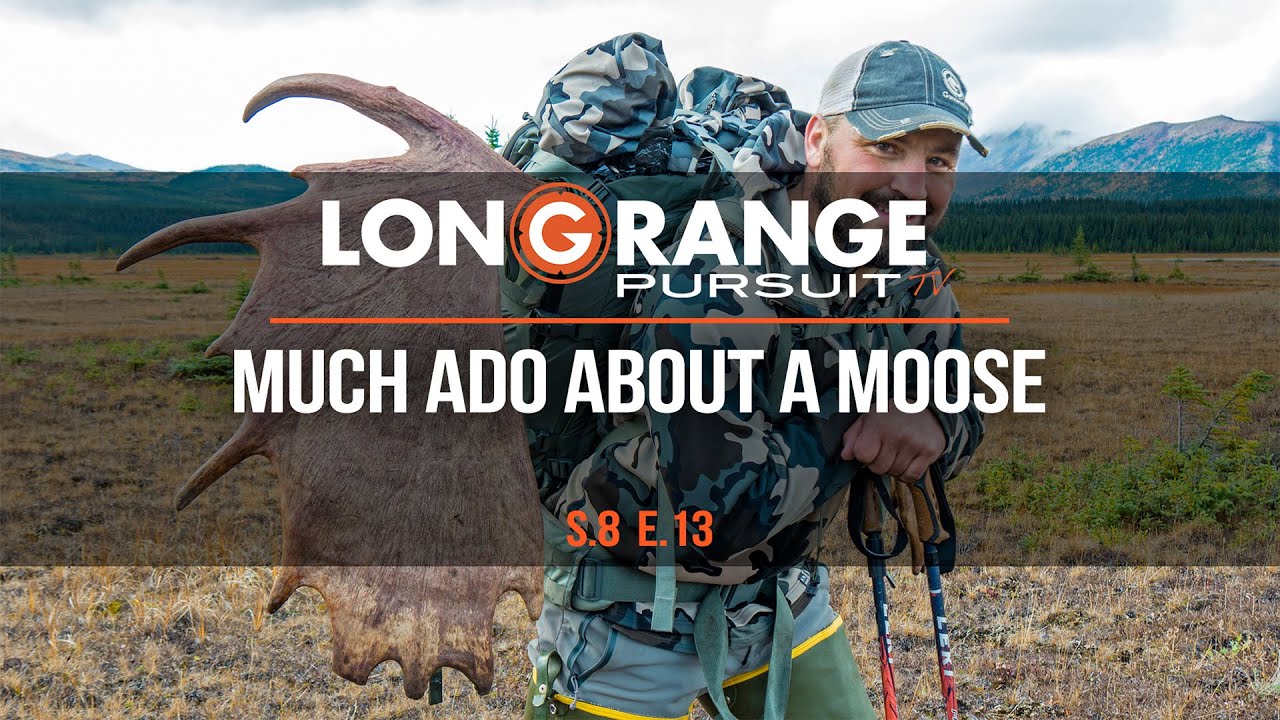 Long Range Pursuit | S8 E13 Much Ado About a Moose