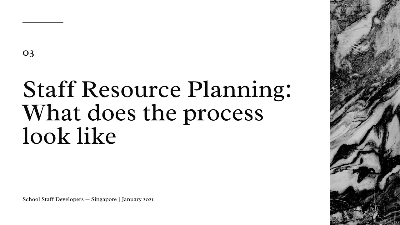 #03 - Staff Resource Planning Process: What does the process look like
