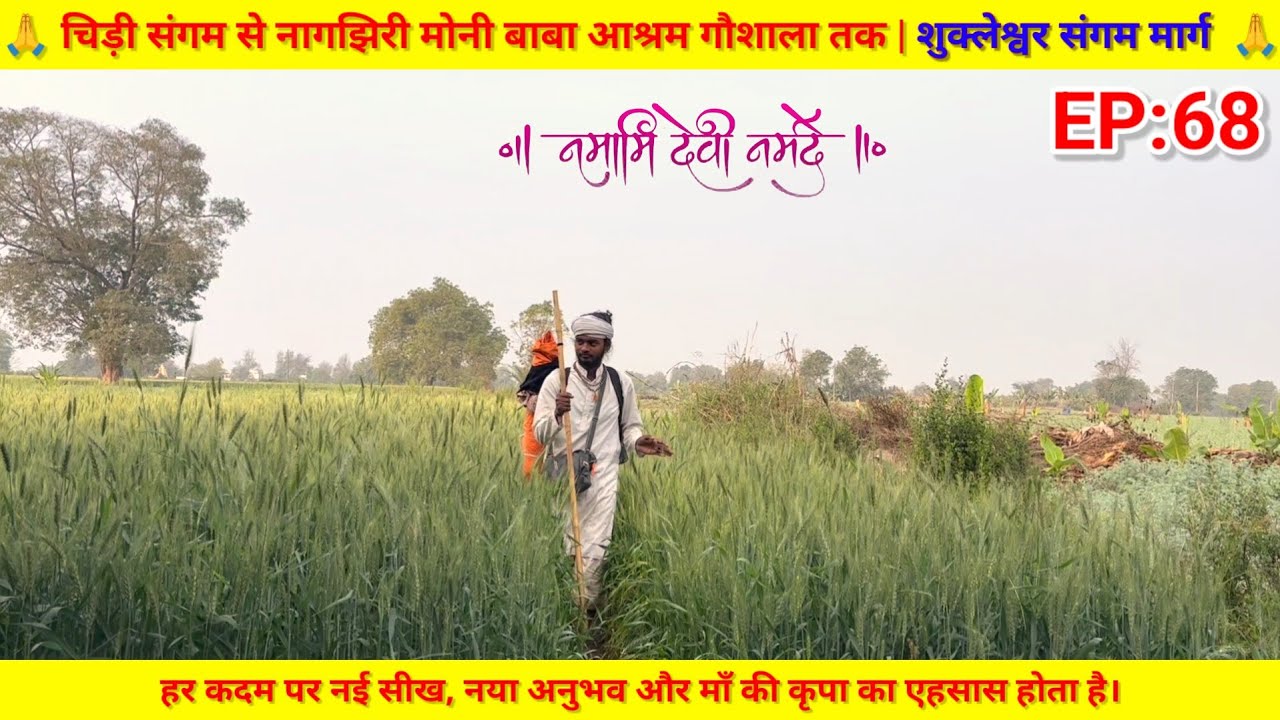 EP:68 चिड़ी संगम से नागझिरी मोनी बाबा आश्रम गौशाला तक | शुक्लेश्वर संगम मार्ग | माँ नर्मदा परिक्रमा 