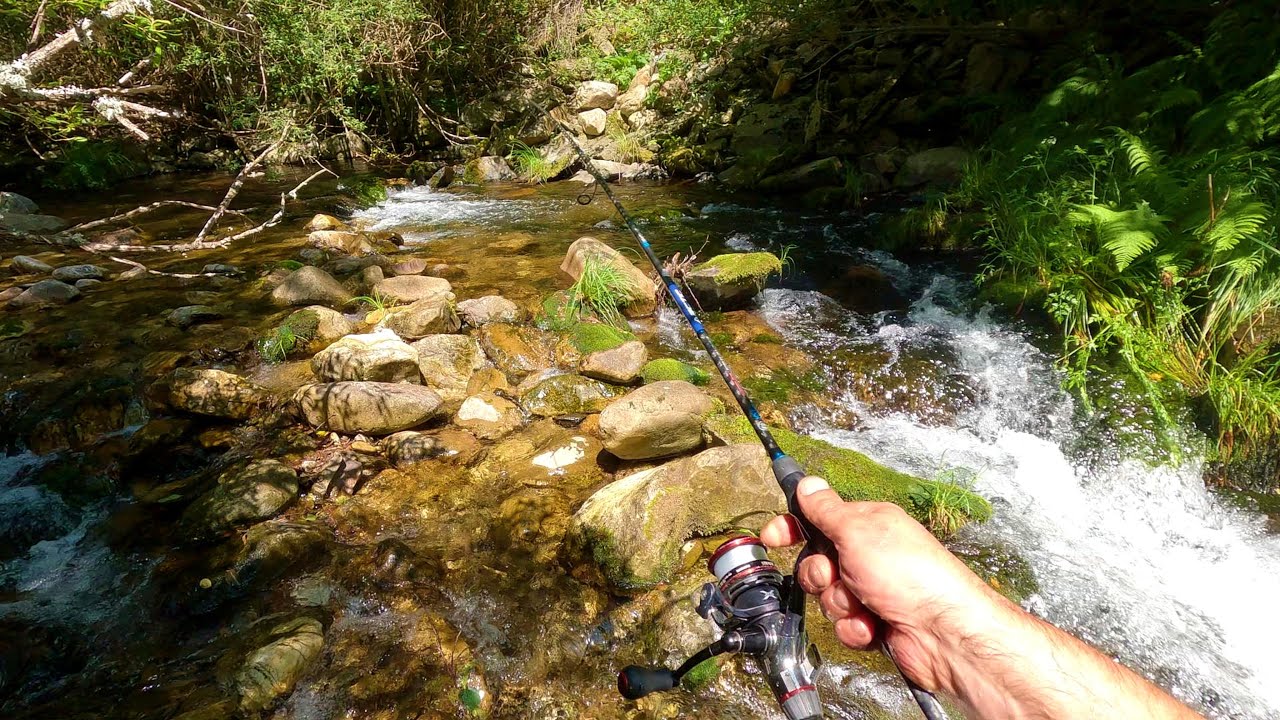 Los Ancares: Un destino increíble para los amantes de la pesca de truchas de alta montaña