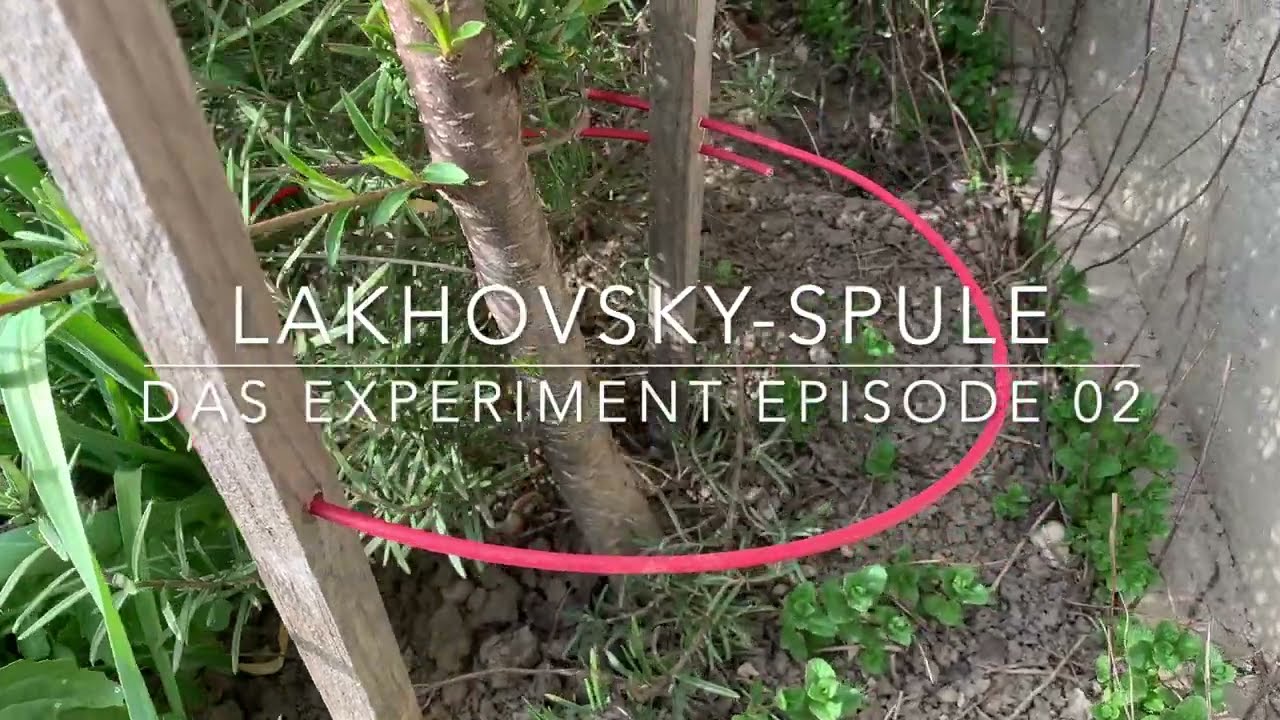 Gartentipp: Die Lakhovsky-Spule, Teil 2 #garden #gardening #gardeningtips #gartentipps #lakhovsky