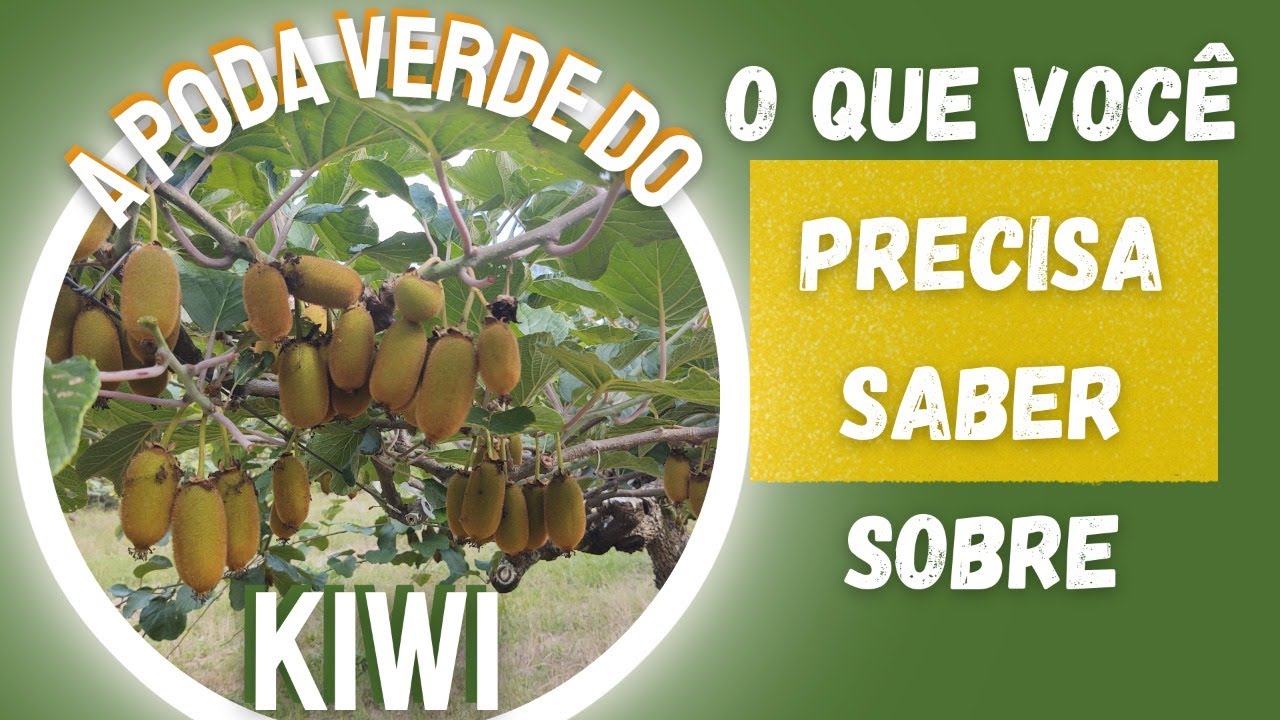 Poda Verde do QUIVI. Produção, Sanidade e Condução Equilibrada.