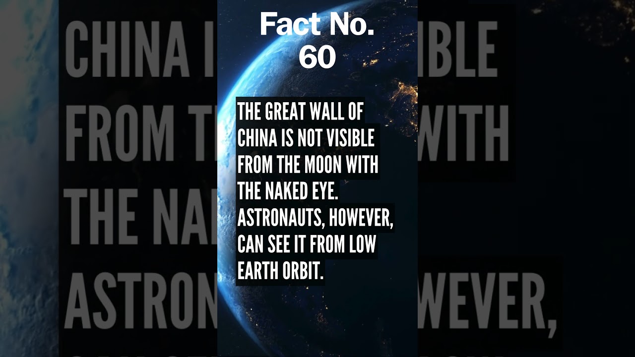 Epic Fact Chronicles: Journey into the Extraordinary 🚀 | Unveil the Unknown!