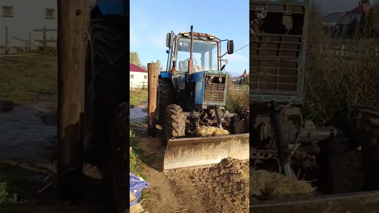 Утро в деревне. Хозяйство...