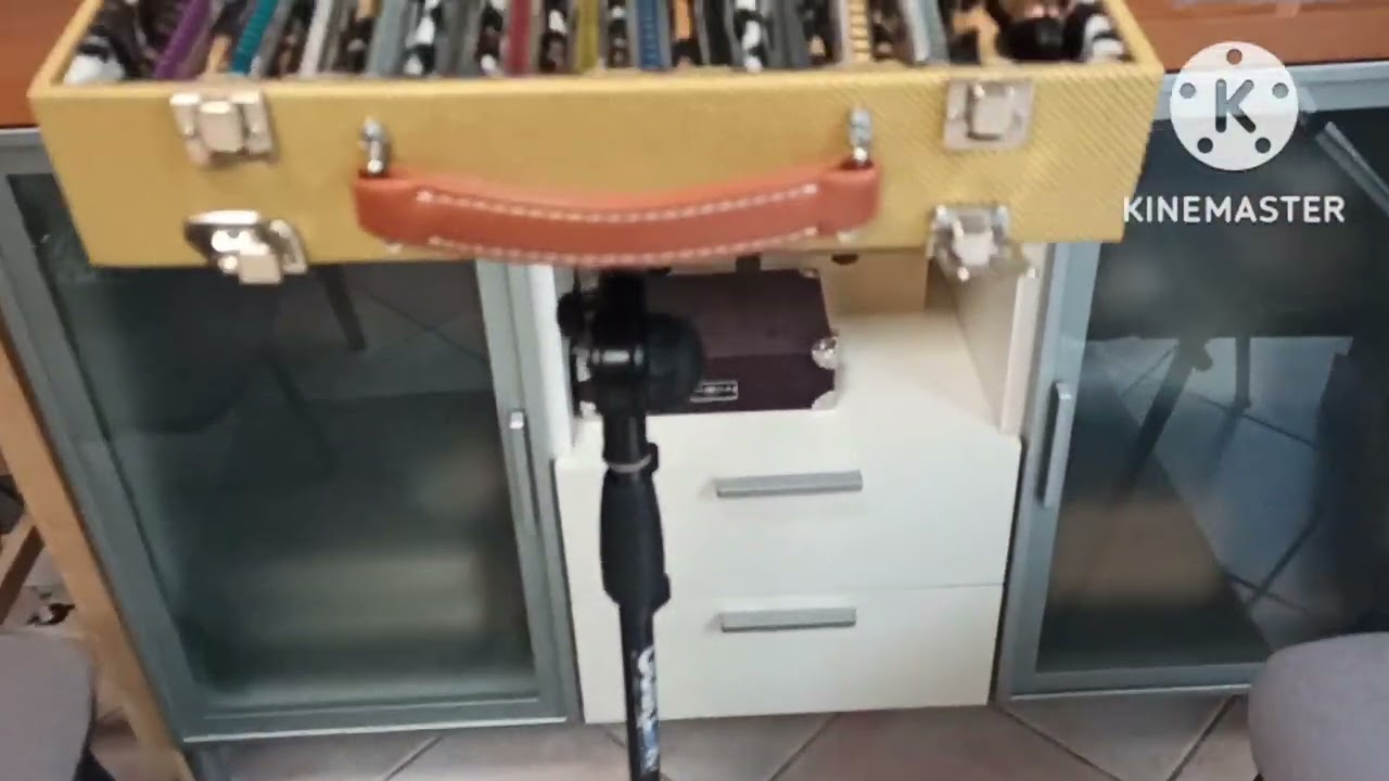 BLUEXLAB Custom Harmonica case