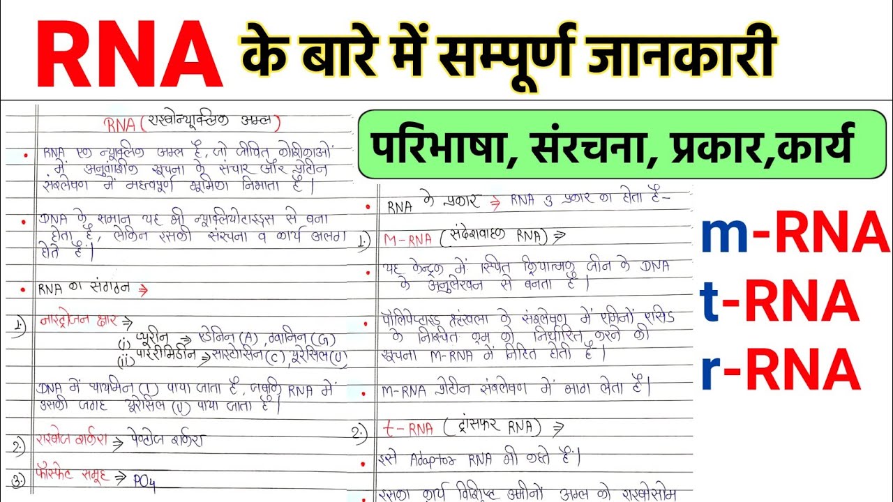 RNA | आरएनए | ribonucleic acid in hindi | structure of rna | types of rna | function of mrna, trna