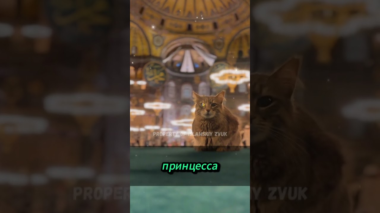 Доказательство Единобожия Сити Масйитох, которому её научил пророк Хидр #ИсламскиеИстории #Таухид