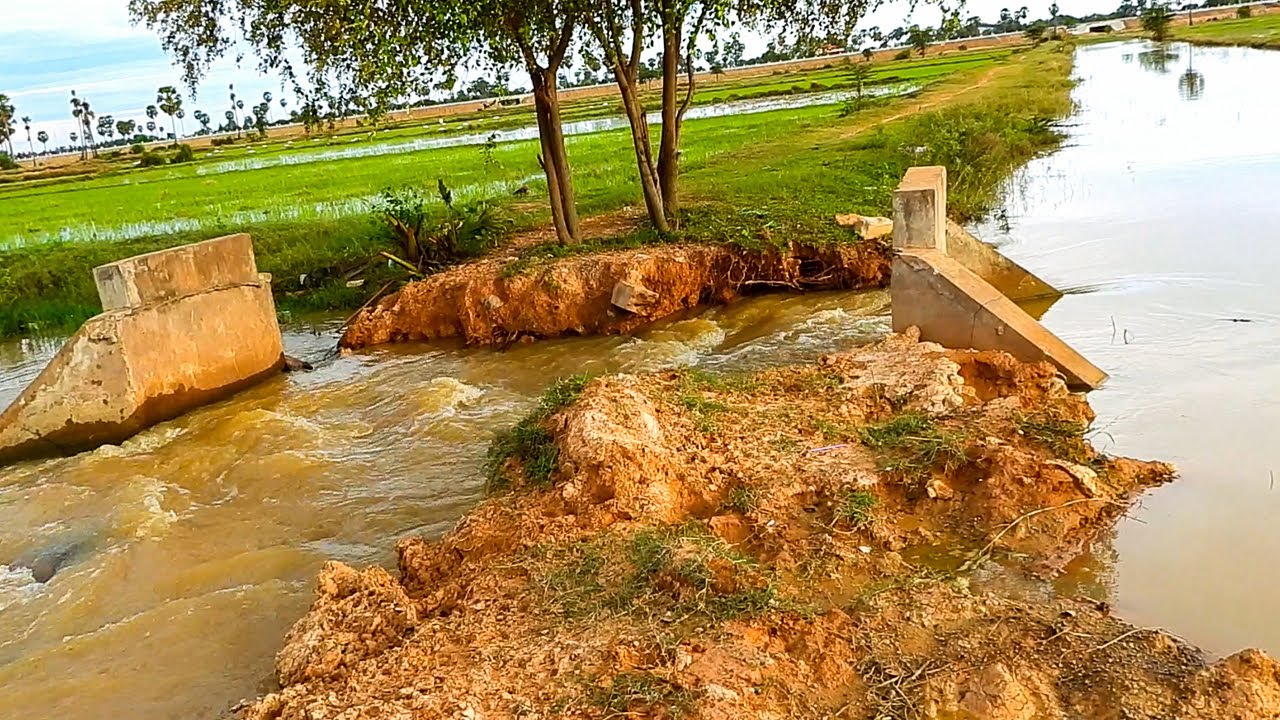 Remove Branch Of Tree Clogged Culvert Farm