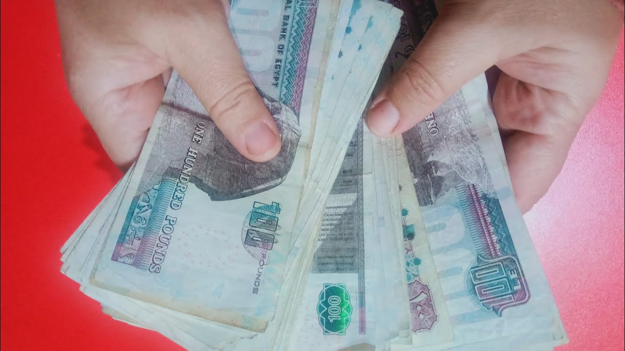 مشروع مربح من البيت #تربيه الطيور من المشروعات المربحه#