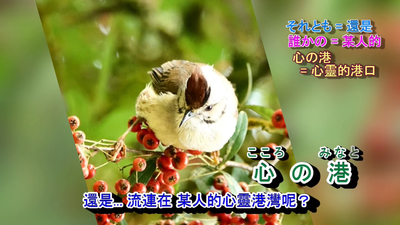恋唄流し 字義版