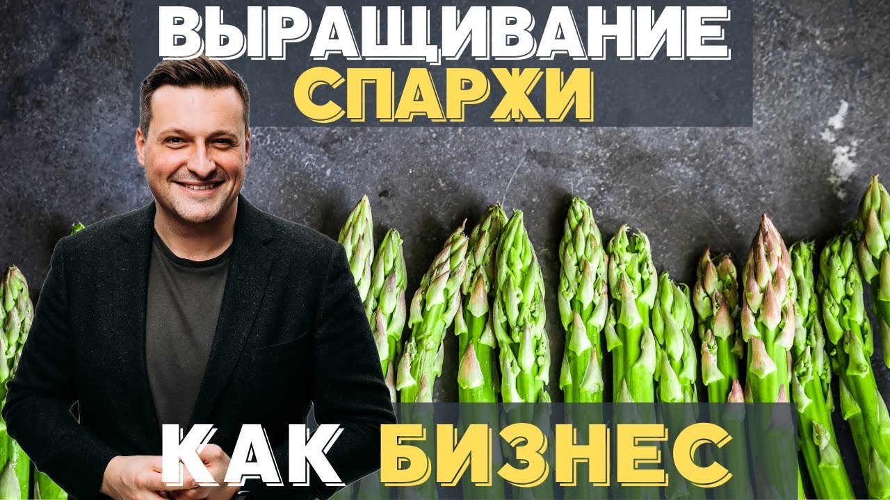 Как это сделано: выращивание спаржи / Сельское хозяйство-это бизнес? / Как начать?