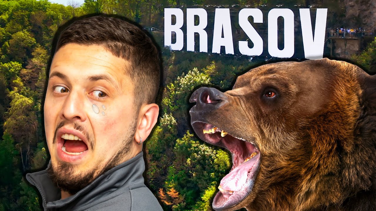 AQUI LOS OSOS Pasean por la CALLE - BRASOV