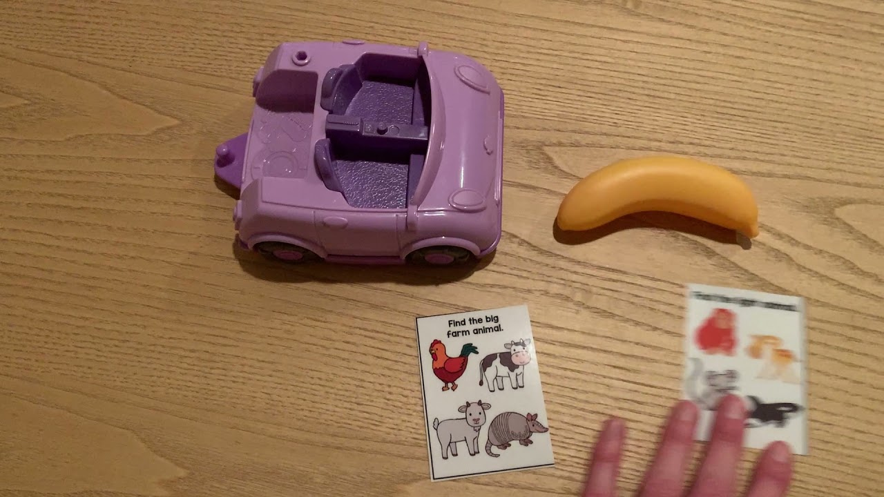 Receptive Describing Task Cards