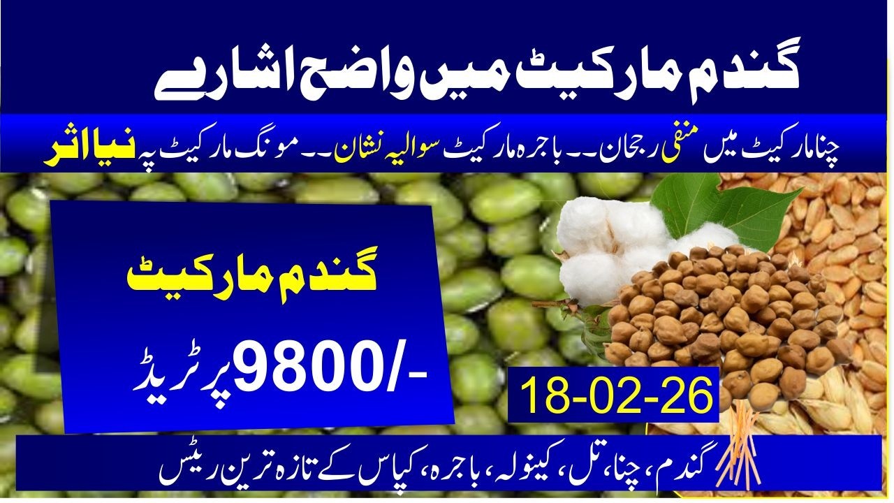 Wheat | New wheat opening Rate today | Moong rate | sarso price new | sugar mills rate | Bajra rate