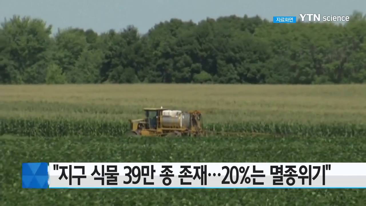 지구 식물 39만 종의 20%가 멸종위기 / YTN 사이언스