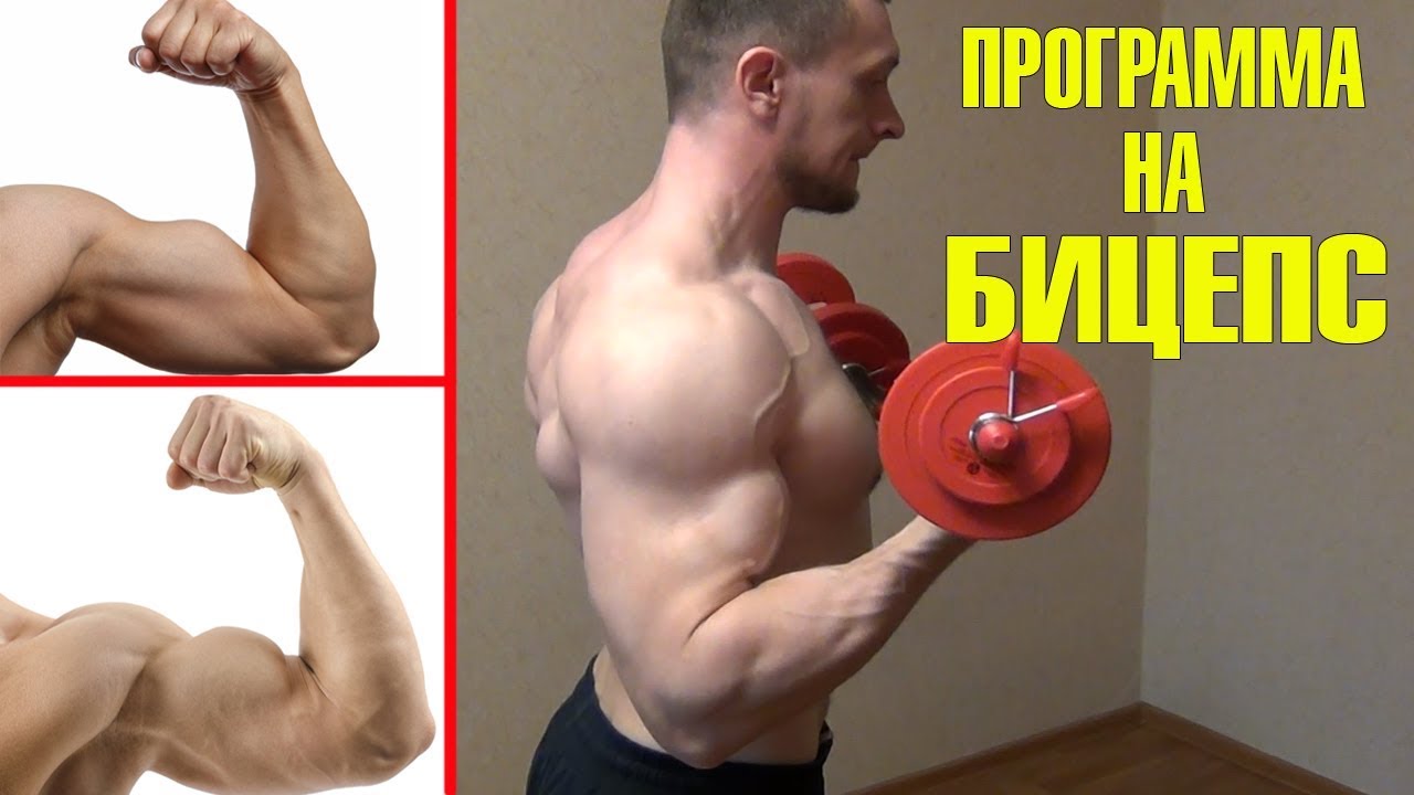 Как накачать бицепс даже если ты дрищ