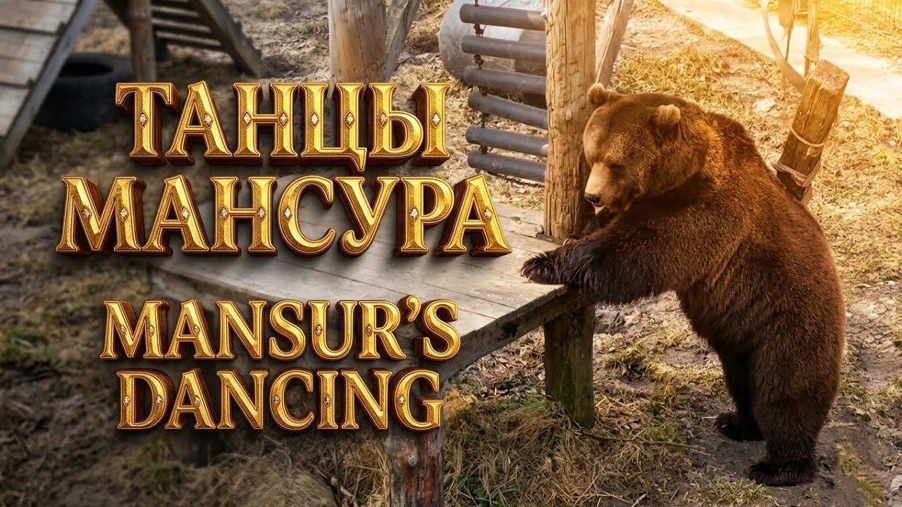 Танцы Мансура😁🐻Mansur&rsquo;s Dancing_3/4/26
