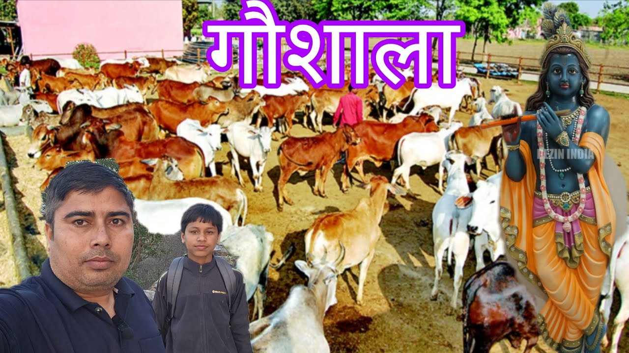 Nagaur Se Salarpur: Ek Sukoon Bhari Ride 🐄 | Gaushala Visit