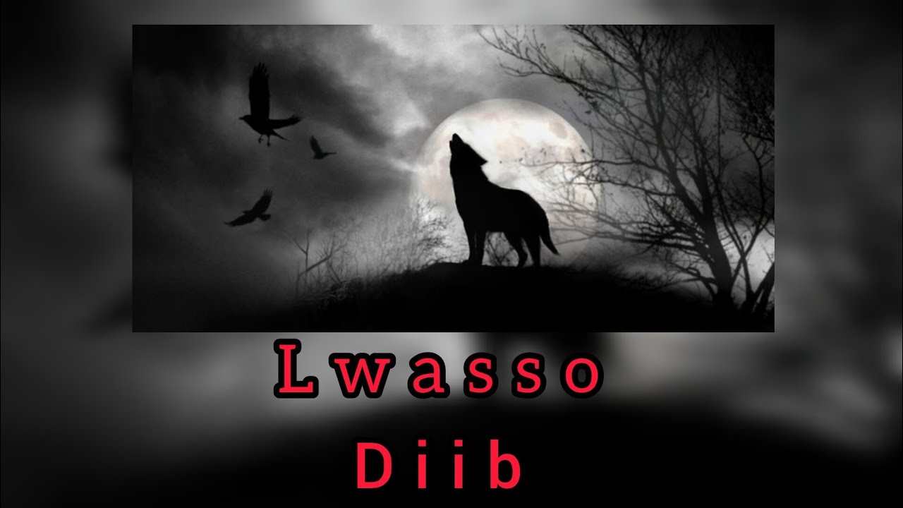 Lwasso_  diib