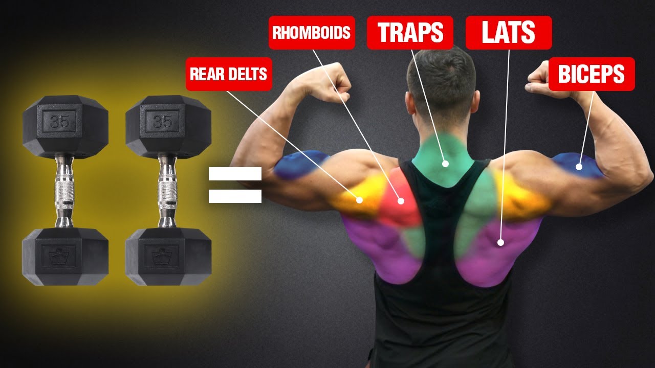 The Ultimate Back and Biceps Workout for Mass (DUMBBELLS ONLY!)