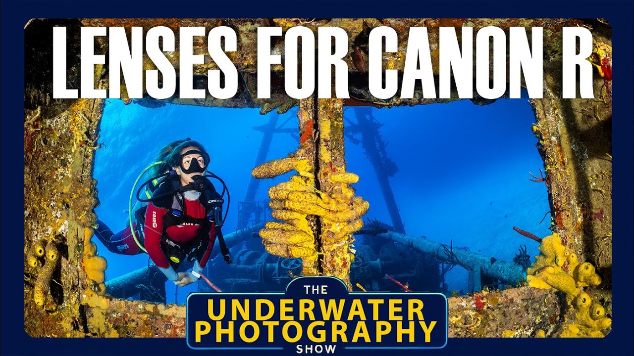Best Lenses For Shooting Canon R5 Underwater