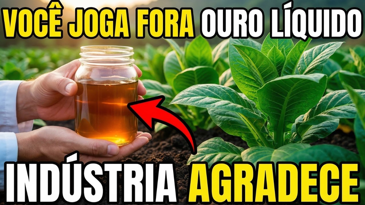 PARE de Dar Descarga no Melhor Fertilizante do Mundo (A Indústria Química Agradece)