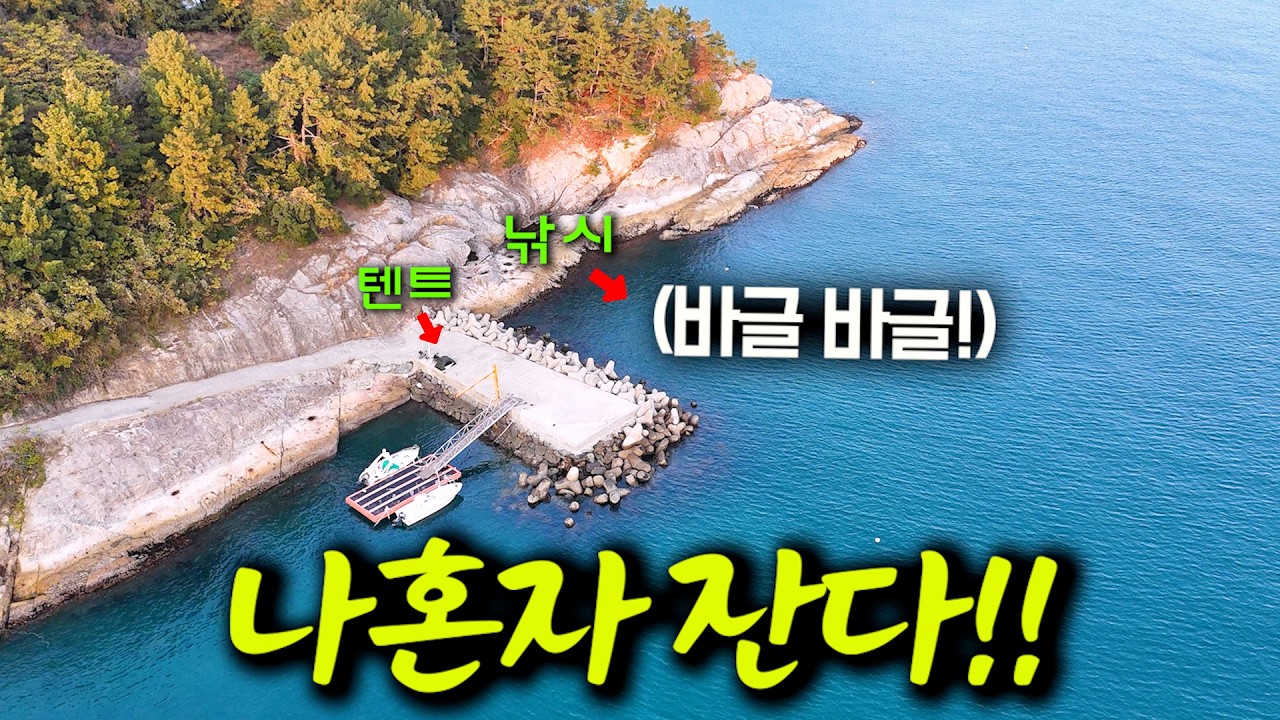 물고기가 바글바글한 방파제에서 혼자 보내면 어떨까?? / 섬에서 작은 캠핑과 낚시여행!! (통영 추도, 박선비tv / 전갱이 회)