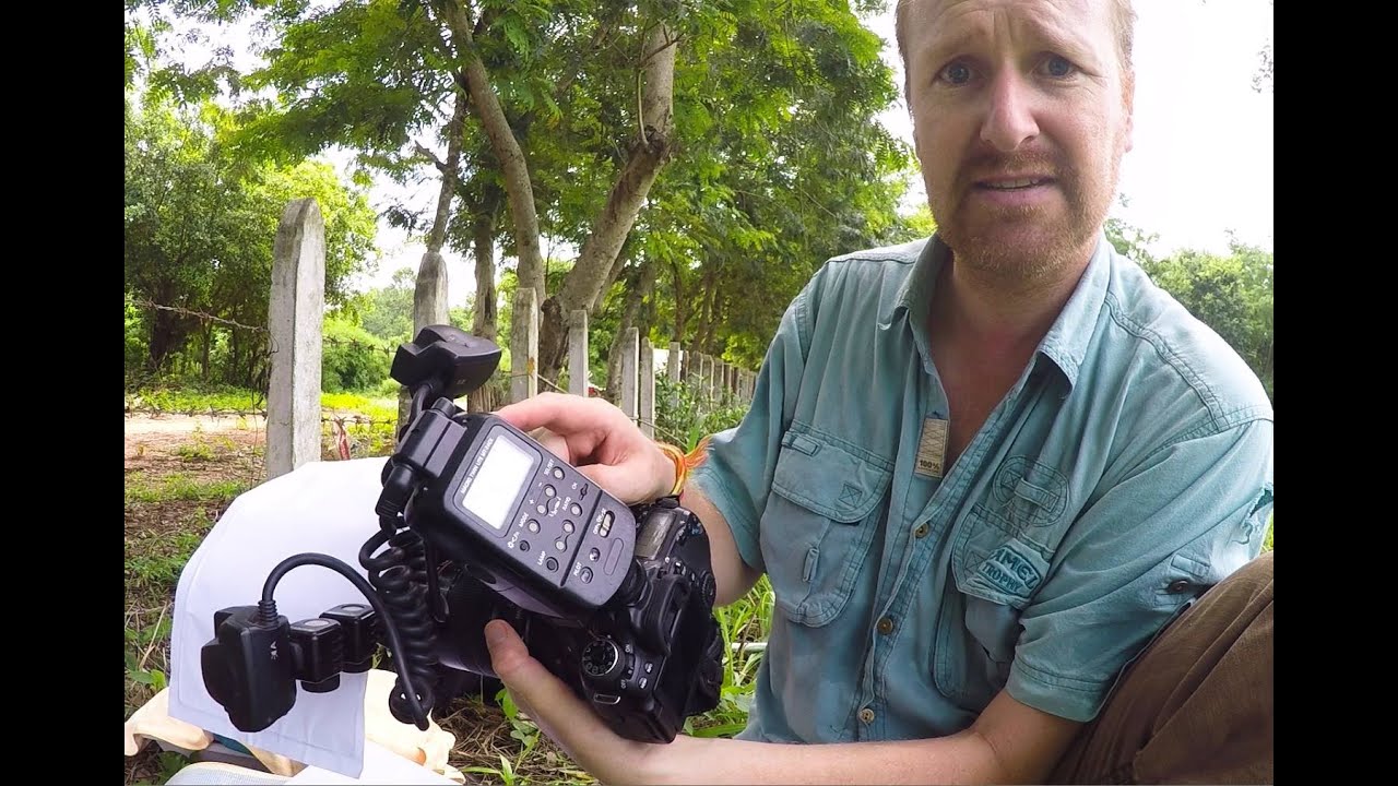 My macro photography field gear