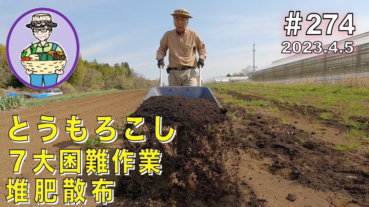 とうもろこし作付け準備で７大困難作業の堆肥撒きと一番楽なトラクターかけをする。　 274話 【オーガニック栽培】