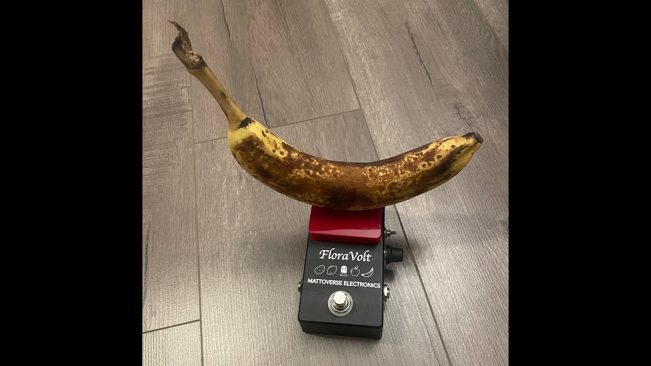 Produce-Powered Pedal!!! Mattoverse Electronics Flora Volt