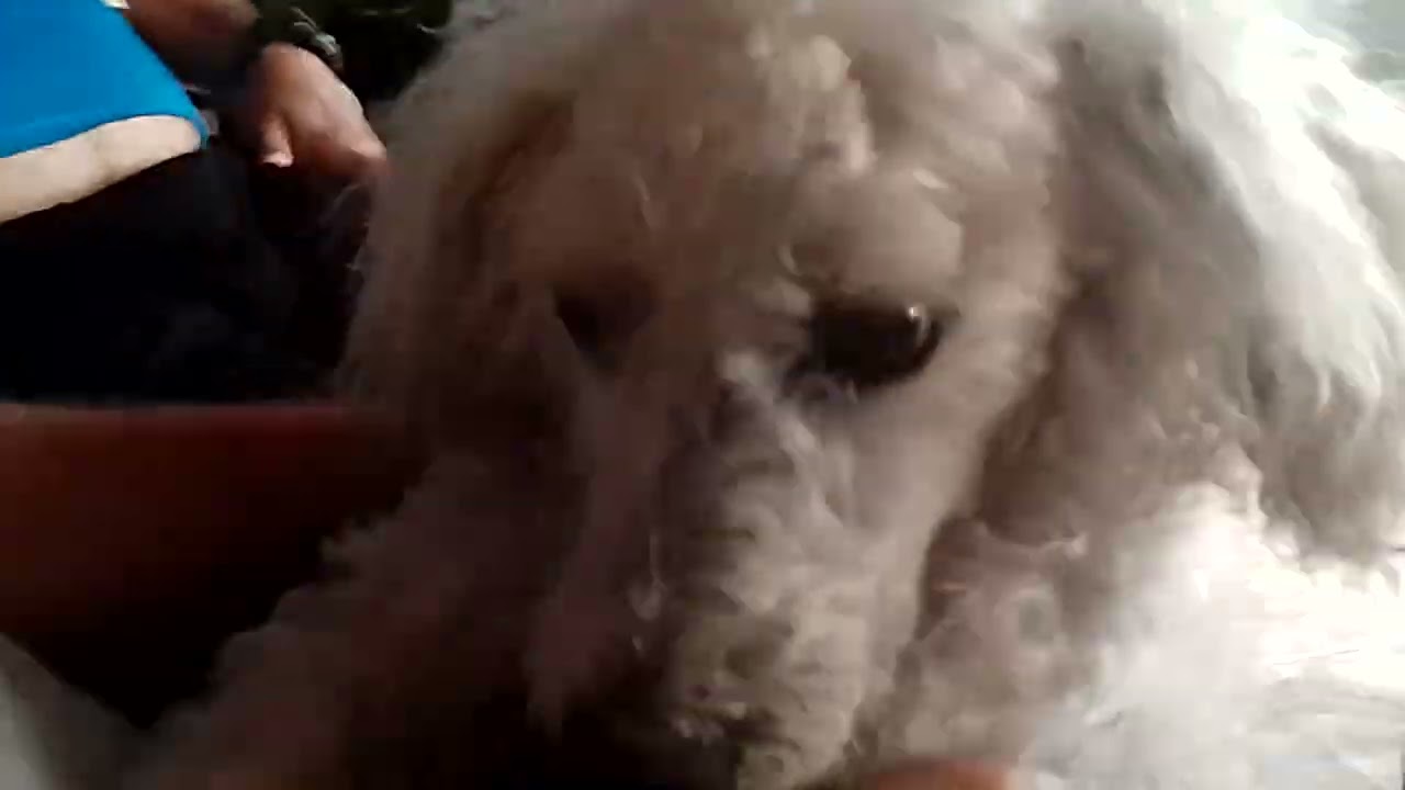 Partido de la final de Supercopa 