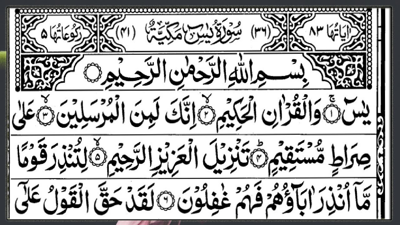 Daily Surah Yaseen Full | Surah Ar Rahman🌿 | Beautiful Quran Tilawat | Alqama Naziri Official