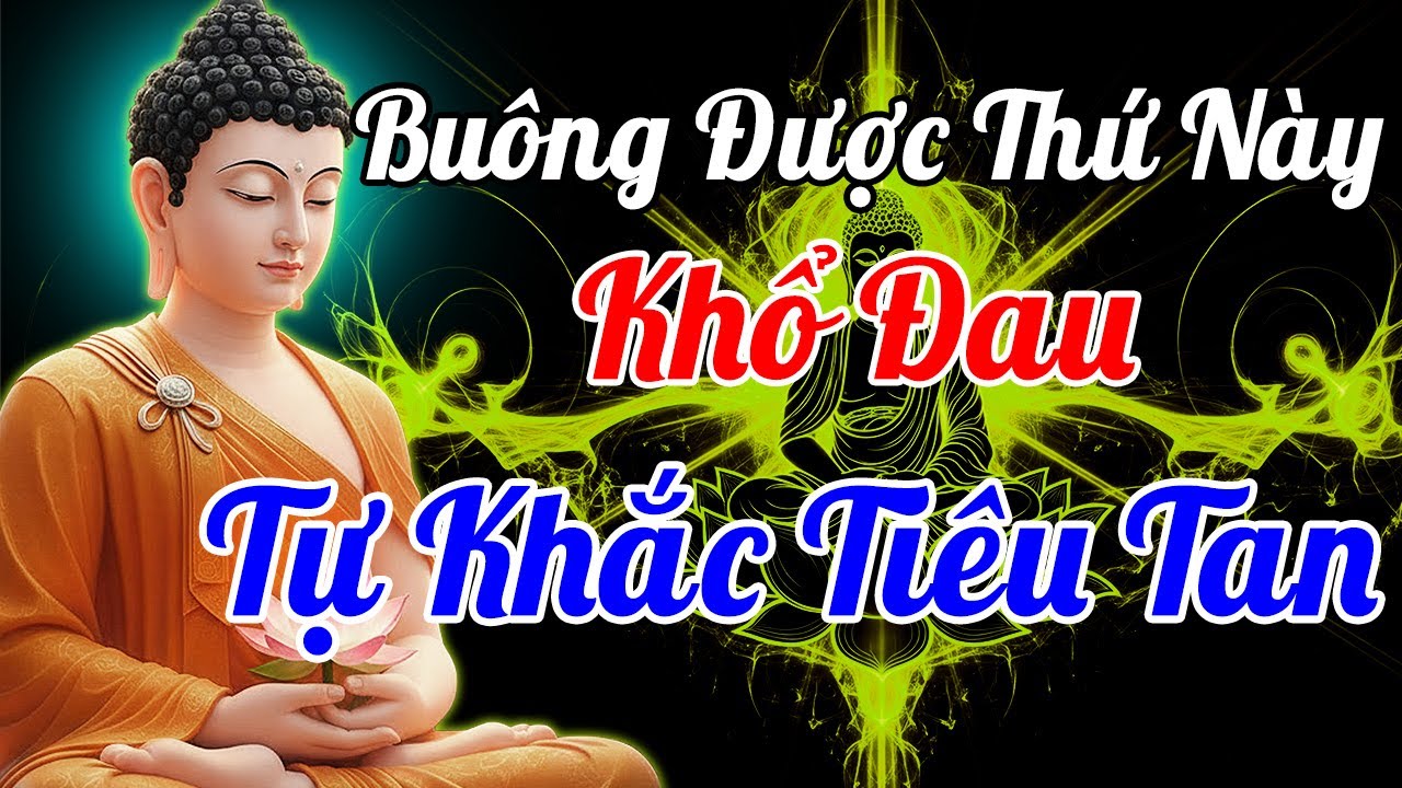 Nghe Pháp Trước Khi Ngủ: Lời Phật Dạy Về Khổ Đau Và Hạnh Phúc |  15 Phút Khiến Bạn Thức Tỉnh