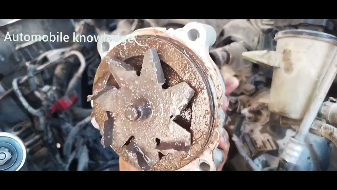 ford expedition water pump replacement