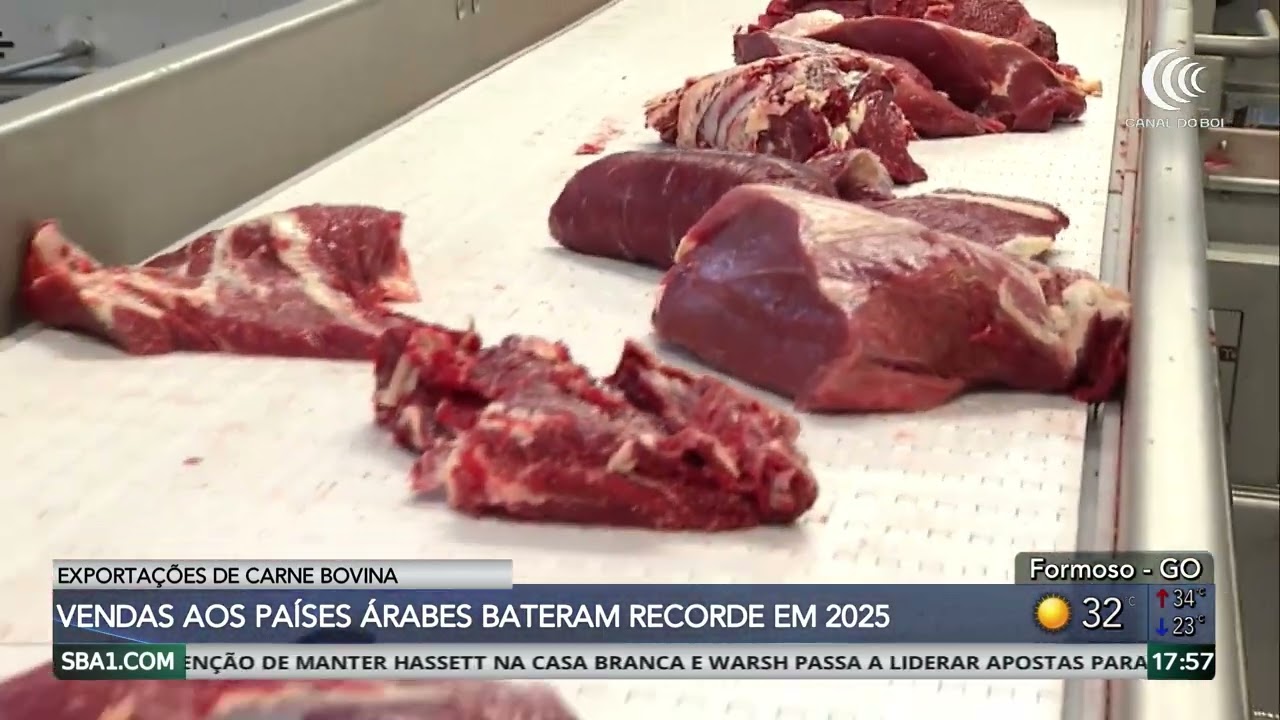 Mercado da carne mantém preços estáveis; exportações batem recorde