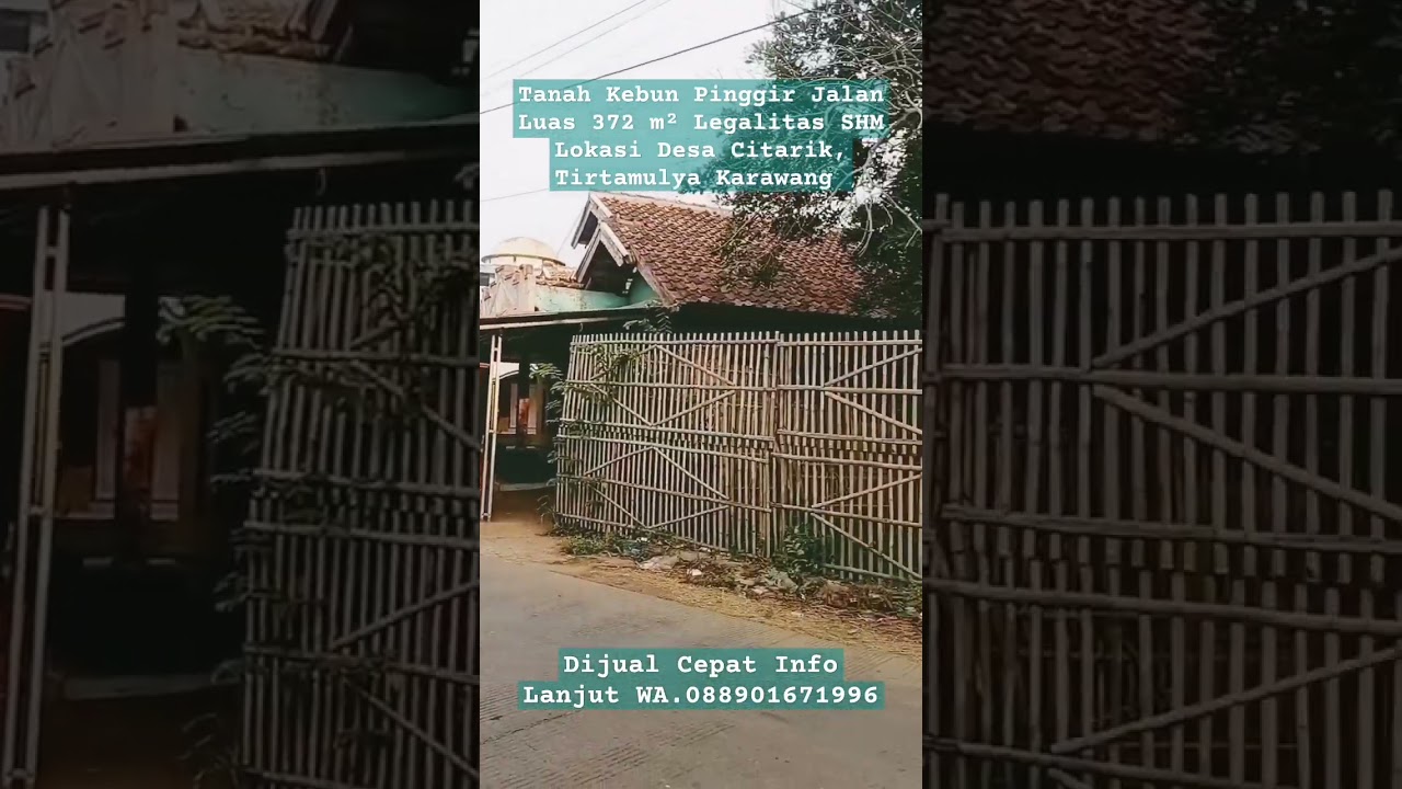 Tanah Kebun Kontur Datar Pinggir Jalan Desa Di Pemukiman Ramai Penduduk #tanahdijual #tanahmurah