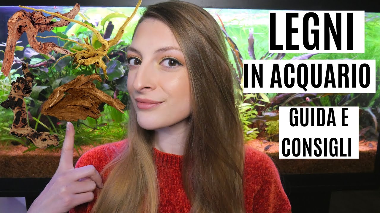 LEGNI IN ACQUARIO 🌴 Guida e consigli