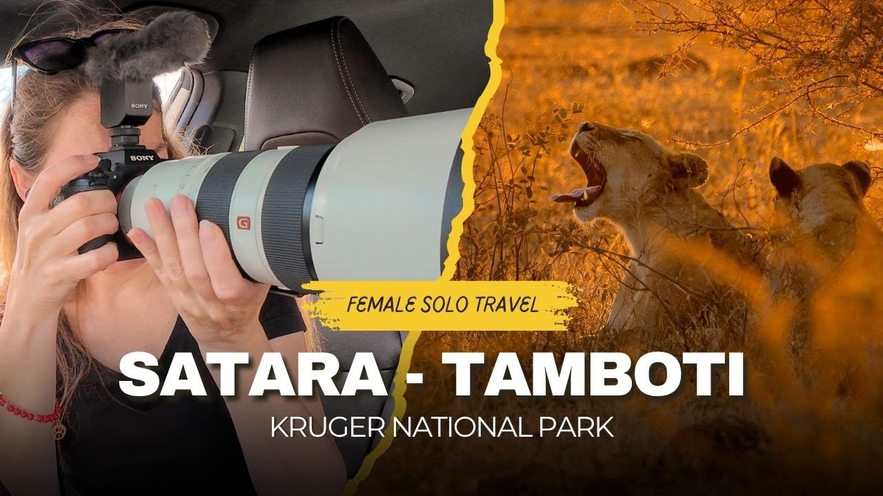 Baby elephants & first lion sighting - Solo female photography safari - Satara to Tamboti Kruger