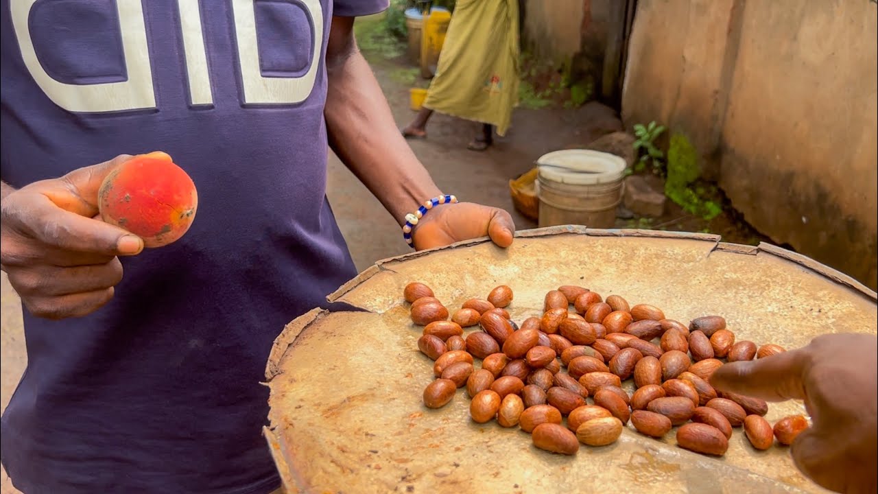 Checking village life out in Mbaise - Imo State vlog Ep9