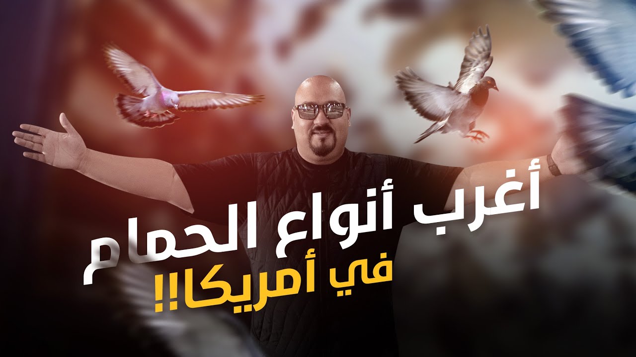 طيور مايكل تايسون في اكبر عرض للحمام في امريكا