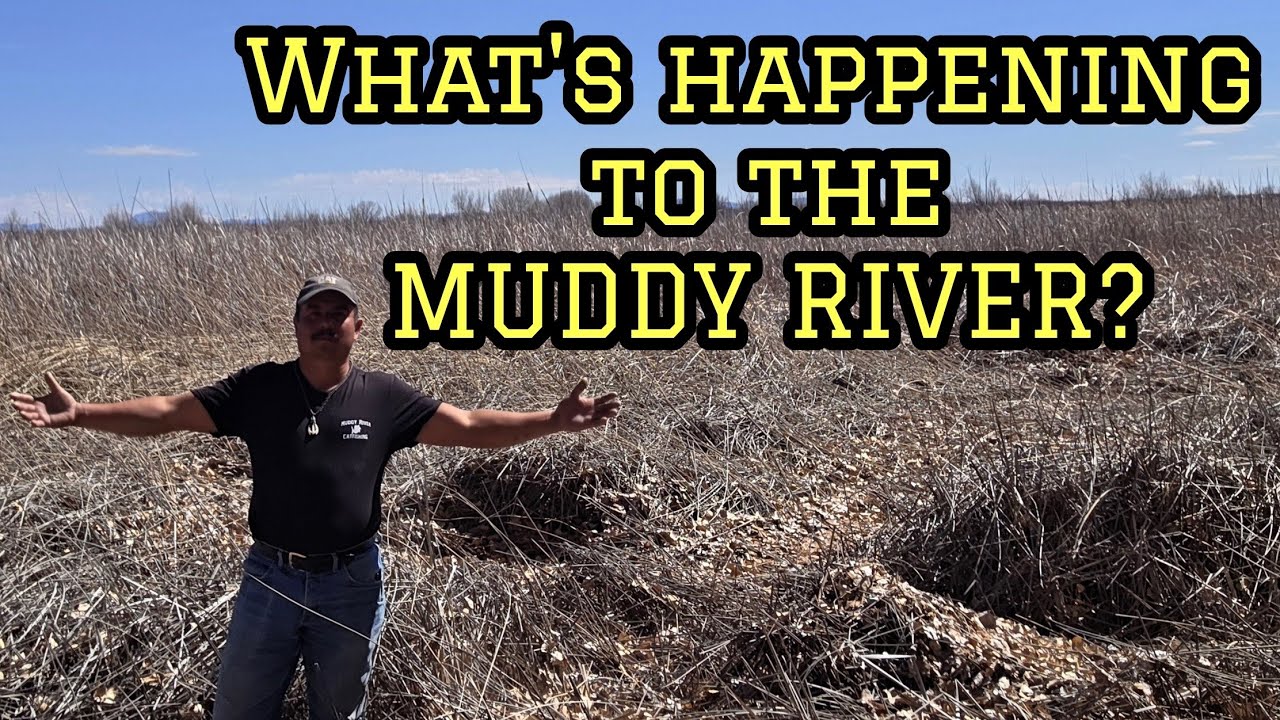 What Does The Future Hold For The Muddy River?