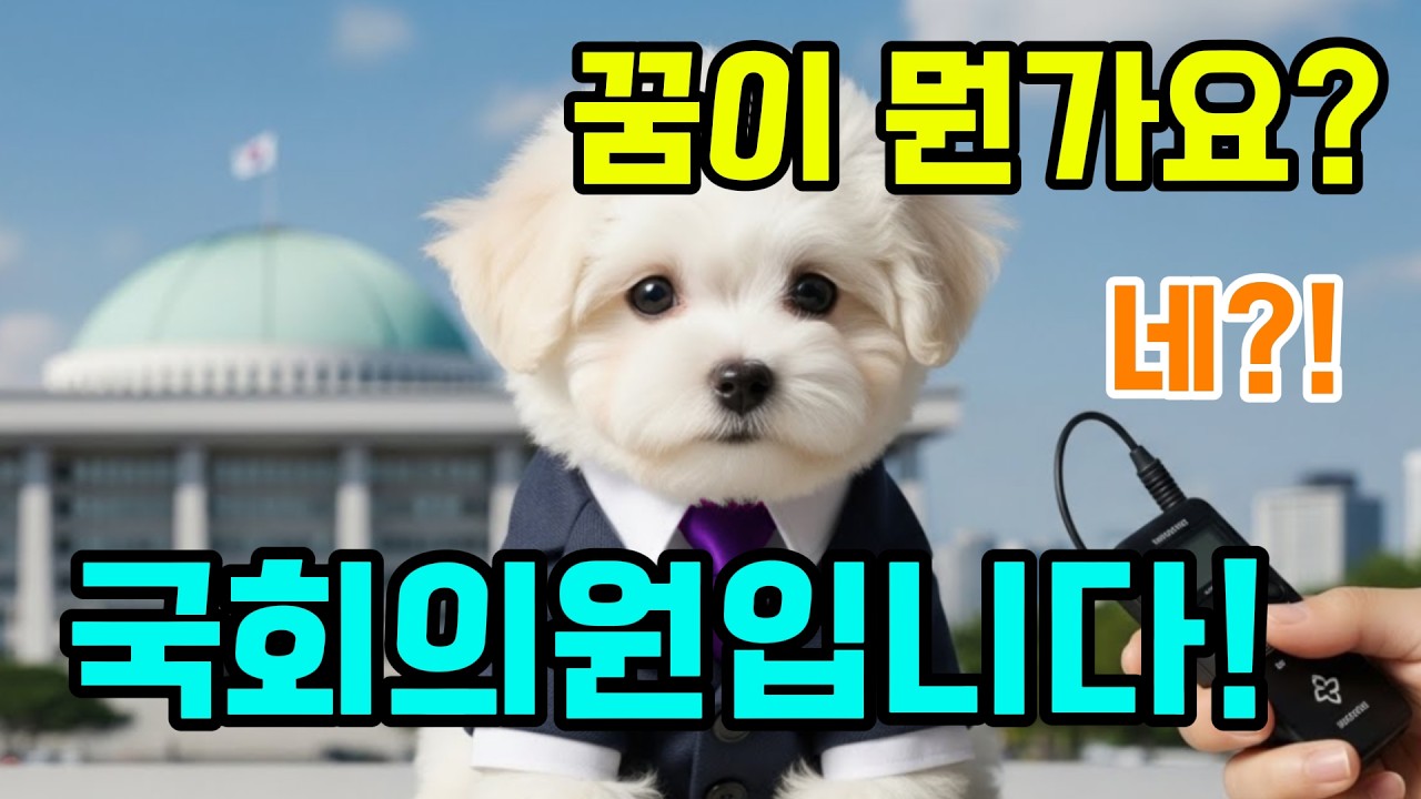 웃음이 나오는 미니 비숑 강아지 인터뷰 모음