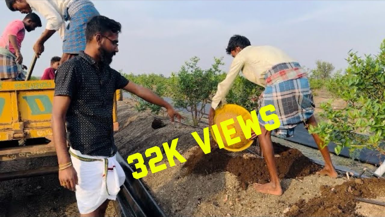 Daily routinevlog #madhusankal