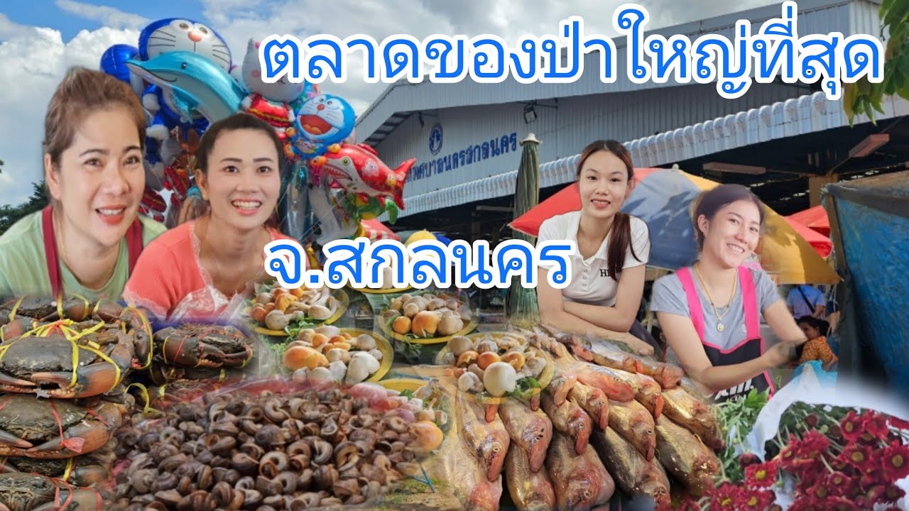 #ตลาด #ของป่า มาที่นี่ไม่ผิดหวัง #ตลาดบายพาสจังหวัดสกลนคร ใหญ่ที่สุดใน จ.สกลนคร #เห็ดป่า #ทะเล