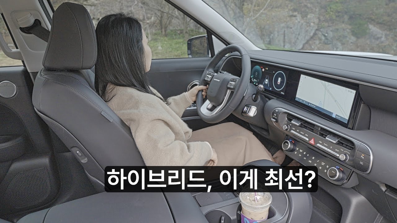 디올 뉴 팰리세이드 하이브리드 3개월 실사용 후기 / 연비 측정과 차량, 차박 아이템 추천