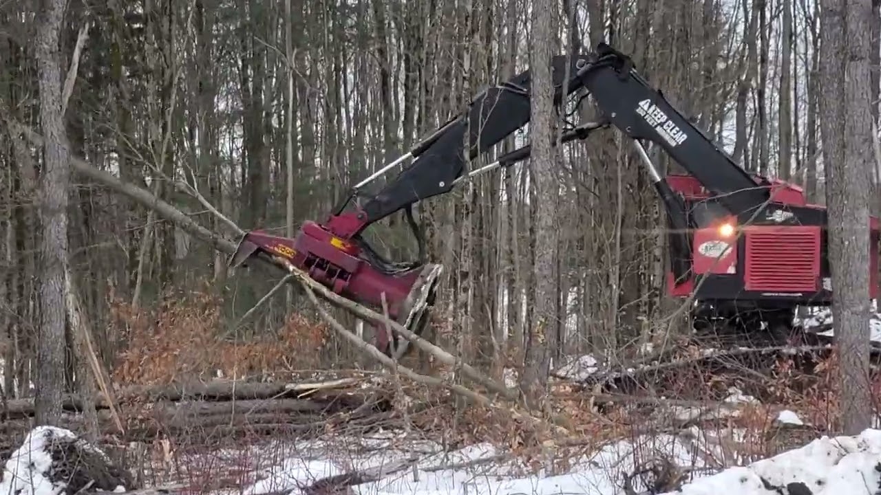 Timber Pro 735 b leveling cab tracked feller buncher  cutting nice ADX hard wood in Cold Brook , NY